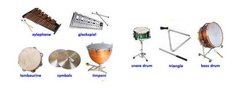 Percussion Family Instruments List